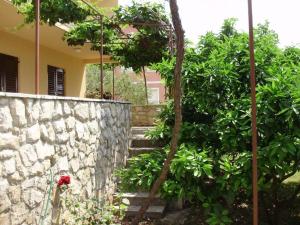 Ein Garten an der Unterkunft Apartment in Stari Grad Hvar with terrace, air conditioning, WiFi, washing machine 5028-1