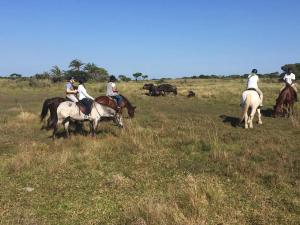 un grupo de personas montando a caballo en un campo en Hooked on 6 Fish Eagles, en St Lucia