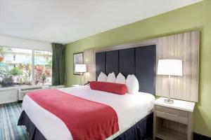 a hotel room with a large bed and a large window at Ramada by Wyndham Fort Lauderdale Airport/Cruise Port in Fort Lauderdale
