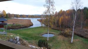 a view of a river from a house at Villa Kuriosa SKOGSFEEN in Ytterhogdal