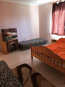 Schlafzimmer mit einem Bett und einem Flachbild-TV in der Unterkunft Bem apartman in Jászárokszállás