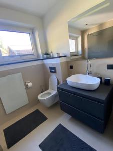 a bathroom with a sink and a toilet and a mirror at Alpine Apartment Belluca in Gries im Sellrain +13 photos