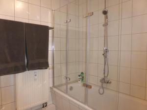 a bathroom with a shower with a tub and a sink at Apartment Ferienwohnung Martin Luther, 3 Schlafzimmer, free WiFi, Nähe Zentrum, klimatisiert, hell, offen, sehr schön, in Jena +39 photos