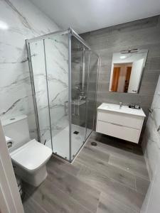 La salle de bains est pourvue d'une douche, de toilettes et d'un lavabo. dans l'établissement Apartamento Buenavista, à Oviedo