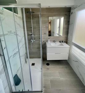 a bathroom with a shower and a sink at Apartamento Buenavista in Oviedo