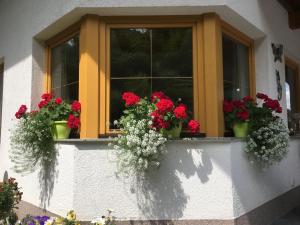 Vonkajšia záhrada v ubytovaní Haus Wildebene