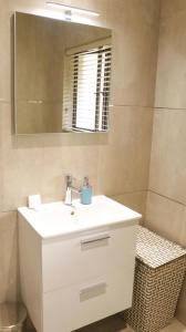 a bathroom with a white sink and a mirror at Sylvan Grove Guest House in Durban