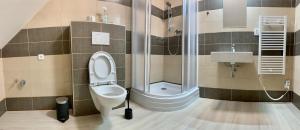 Vannituba majutusasutuses Apartmány Statek Bezdědice