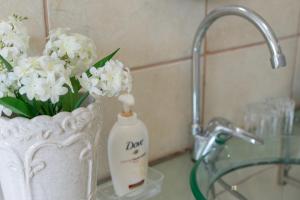 un lavabo con una botella de detergente y flores en Blue Star Villa, en Tergniet