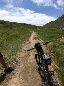 Jazda na bicykli v okolí ubytovania Haus Wildebene