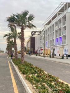 una strada cittadina con palme e un edificio di إستوديو فندقي بورتو سعيد porto said a Port Said