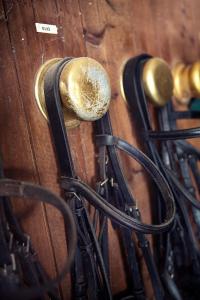 Foto dalla galleria di SCUDERIA LA COLOMBERA a Binasco