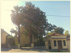 a house with two palm trees in front of it at Archontiko Tsaknaki Manolia in Áno Lekhónia