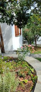 Zahrada ubytování Aeolos Hotel & Villas - Pelion
