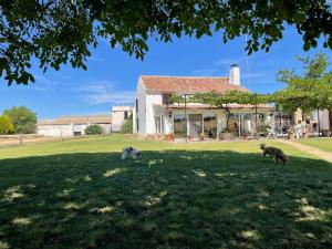 three animals walking in the grass in front of a house at Los Manantiales Casa Rural in Alcaraz