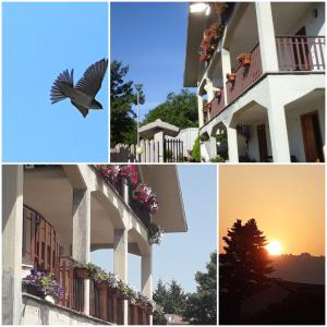 a collage of photos with a bird flying past a building at Il Nido Delle Rondini in Casale Bottone