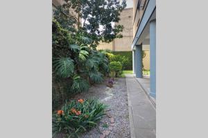 a garden outside a building with flowers and plants at Departamento Céntrico a metros de Plaza Belgrano in San Salvador de Jujuy