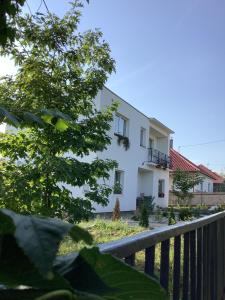uma casa branca com cerca e árvores em Nyúlászó Vendégház és Galéria em Mád