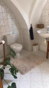 Vannituba majutusasutuses Apartmán v koňském areálu Židovice
