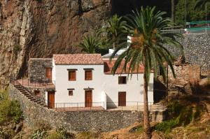 a house on the side of a mountain with a palm tree at Casa Rural El Mantillo in Hermigua