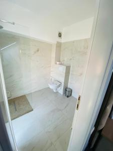 a bathroom with a shower and a toilet at Pensiunea Elisei in Timişoara