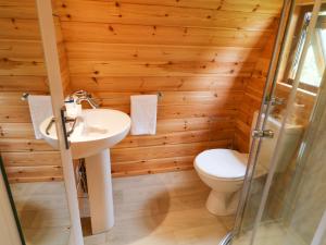a bathroom with a toilet and a sink at Pod 3 in Ballymoney