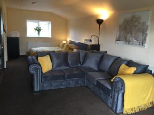 a living room with a blue couch and a bed at Breeze Place in Nelson