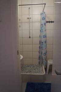 W łazience znajduje się prysznic z zasłoną prysznicową. w obiekcie Mildos butas w mieście Birsztany