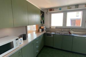 La cuisine est équipée d'armoires vertes et d'un four micro-ondes blanc. dans l'établissement Familien-Haus,Garten,Grill,20m zum Rhein, à Stein am Rhein