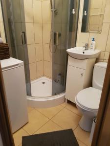 a bathroom with a shower and a toilet and a sink at Panama Apartament 1 Poznań in Poznań