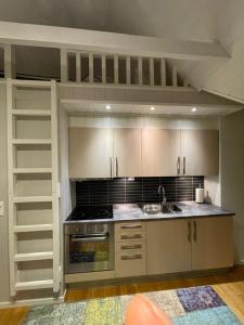 una cucina con lavandino e piano cottura forno superiore di Novatind - Studio apartment with free parking a Narvik