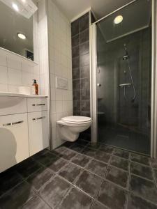 a bathroom with a shower and a toilet and a sink at Novatind - Studio apartment with free parking in Narvik