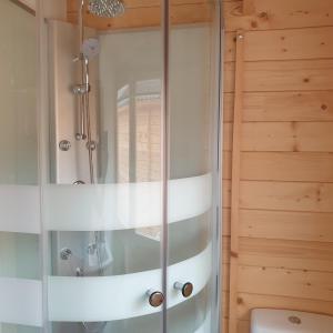 a bathroom with a shower and a toilet at Casa de la Vida Liebetruth A in Aspe