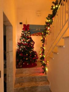 Фотография из галереи Relax House в Бари