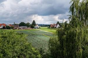 a farm with a field and houses in the background at Hotel Grüne Elster in Fürth