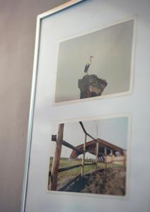 Foto dalla galleria di SCUDERIA LA COLOMBERA a Binasco