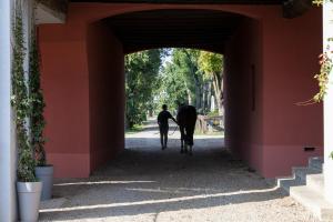 Ospiti di SCUDERIA LA COLOMBERA