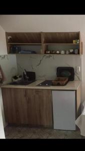eine Küche mit einer Spüle und einer Arbeitsplatte in der Unterkunft Villat Pqrku i Lqenit in Orllan