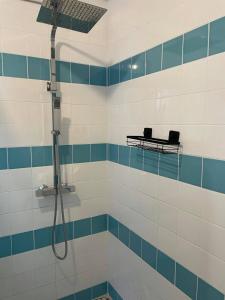 La salle de bains est pourvue d'une douche et de carrelage bleu et blanc. dans l'établissement Chez Souka, à Carcassonne