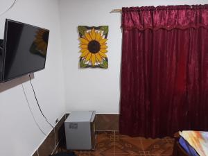 Hostal Selvatrip的电视和/或娱乐中心