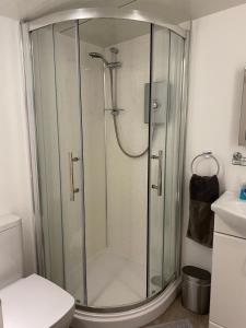 bagno con doccia in vetro e servizi igienici. di Delightful 1 bedroom chalet a Throwleigh
