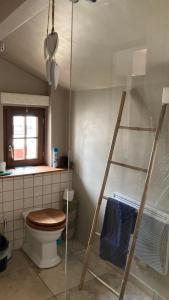a bathroom with a toilet and a ladder in it at La duvallerie chambre d hôte in Cangey +22 photos