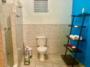 a bathroom with a toilet and a shower at JAGUAR MORNING STAR in Caye Caulker