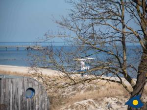 Příroda nedaleko vily