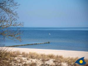 Příroda nedaleko vily + 13 fotografií