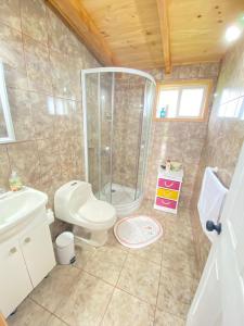 a bathroom with a shower and a toilet at Cabañas Teresa Frutillar in Frutillar