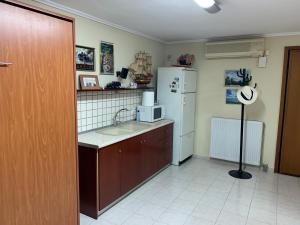 a kitchen with a sink and a white refrigerator at Aris Apartment in Neo Rysio in Néon Rýsion