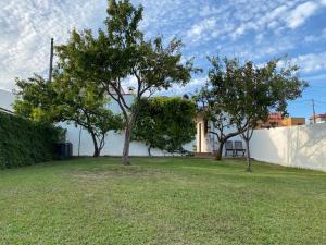 two trees in a yard next to a building at El Rincón de El Montán in Avilés