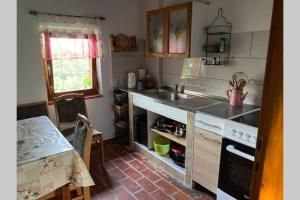 a kitchen with a sink and a table in it at Oaza miru v sožitju z naravo in Sveti Jurij ob Ščavnici