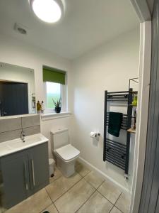 ein Badezimmer mit einem WC, einem Waschbecken und einem Spiegel in der Unterkunft Druid House Lodge in Inverness